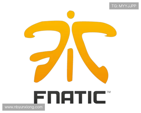 Fnatic战队全方位解析从发展历程到赛事表现与未来前景